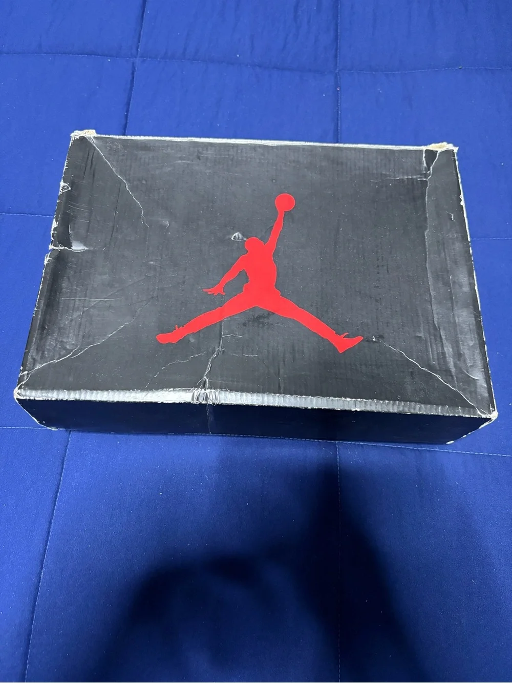 Jordan retro alternate